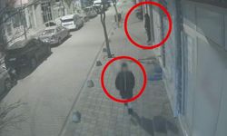 Siirt’te iş yeri ve bir kuruma giren 2 hırsız tutuklandı