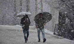 Şırnak'ta Lapa lapa kar yağmaya başladı