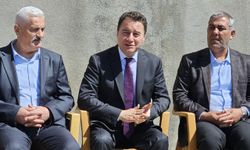 Ali Babacan Siirt Pervari'de temaslarda bulundu