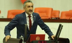 Mustafa Adıgüzel: ‘Fındıkta alan bazlı gelir desteği 10 yıldır değişmedi’ 