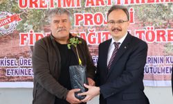 Siirt'te üreticilere 125 bin fıstık fidanı dağıtıldı