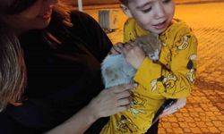 Aracın motoruna giren kedi yavrusu kurtarıldı