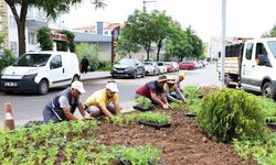 Bağlar’da refüjlere kadife çiçekleri dikildi