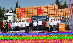 66 bal üreticisine 594 arı kovanı dağıtıldı