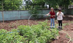 Anaokulu öğrencileri okul bahçesinde sebze yetiştiriyor