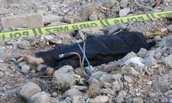 Adıyaman'da 11 yaşındaki çocuk hayatını kaybetti