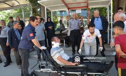Besni'de 2 otomobilin çarpıştığı kazada bir kişi yaralandı