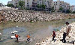 Nusaybin’de Çağ Deresi’ne atılan çöpler temizlendi