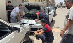 Otomobilin motor kısmına giren kedi kurtarıldı