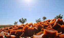 "Hasenik pestili" ne coğrafi işaret tescil belgesi verildi