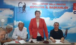 CHP'li Şahbaz, Sağlık Bakanlığı İstatistik ve TÜİK Verilerini Değerlendirdi
