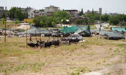 Kurban kesim ve satış alanları belirlendi