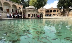 Turistler gündüz tarih, akşam müzik yolculuğuna çıkıyor