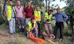 Kuyuya düşen çoban köpeği, ERKUT  tarafından kurtarıldı