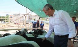 Kurban Bayramı’nda vatandaşın yüzünü güldürecek hamle