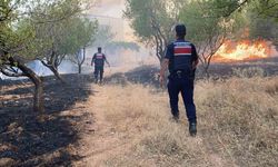 Adıyaman’da örtü yangını ormanlık alana sıçradı