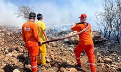 Makilik alanda çıkan yangın söndürüldü