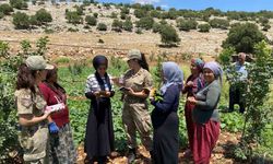 Jandarma KADES uygulamasını tanıttı