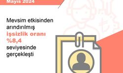 İşgücü İstatistikleri, Mayıs 2024