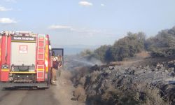 İzmir itfaiyesi Dikili'de orman yangınına müdahale ediyor 