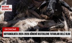 Hayvancılıkta destekleme tutarları belli oldu