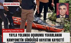 Uçuruma yuvarlanan kamyonetin sürücüsü hayatını kaybetti