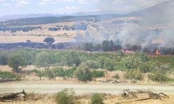 Üzüm bağları ve meyve ağaçları yangında zarar gördü