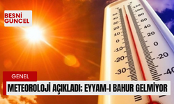 Meteoroloji açıkladı; Eyyam-ı Bahur gelmiyor