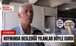 Koynunda beslediği yılanlar böyle ısırdı