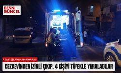 Cezaevinden izinli çıkıp, 4 kişiyi tüfekle yaraladılar