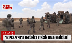 12 PKK/YPG'li terörist etkisiz hale getirildi