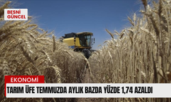 Tarım ÜFE temmuzda aylık bazda yüzde 1,74 azaldı