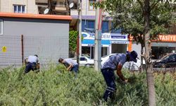 Diyarbakır’da park ve bahçelerde temizlik çalışmaları