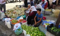 Organik ürünlerdeki bereket fiyatları düşürdü