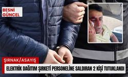 Elektrik dağıtım şirketi personeline saldıran 2 kişi tutuklandı