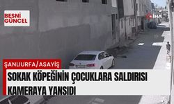 Sokak köpeğinin çocuklara saldırısı kameraya yansıdı