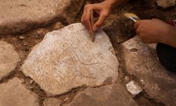 Karahantepe'de kazı alanında koşar halde betimlenen yaban eşeği figürü bulundu