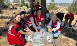 Kilis'te orman yangınlarına "bidonlu" önlem