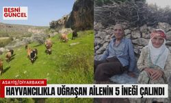 Hayvancılıkla uğraşan ailenin 5 ineği çalındı