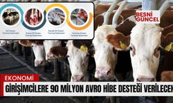 Girişimcilere 90 Milyon avro hibe desteği verilecek