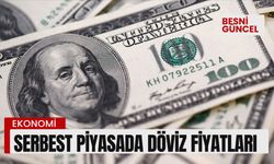 Serbest Piyasa, Döviz Fiyatları