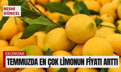 Temmuzda en çok limonun fiyatı arttı