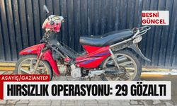 Hırsızlık operasyonu: 29 gözaltı