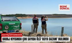 Baraj kıyısında çok sayıda ölü ‘Asya Sazanı’ bulundu