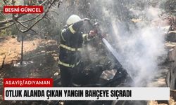 Otluk alanda çıkan yangın bahçeye sıçradı