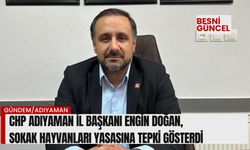 Başkan Doğan'dan Sokak Hayvan Yasasına Tepki