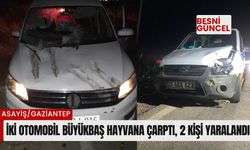 İki otomobil büyükbaş hayvana çarptı, 2 kişi yaralandı