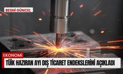 TÜİK haziran ayı dış ticaret endekslerini açıkladı