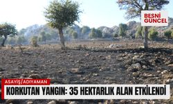 Adıyaman’da korkutan yangın: 35 hektarlık alan etkilendi