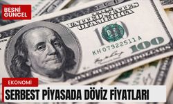 Serbest piyasada döviz fiyatları 15.08.2024